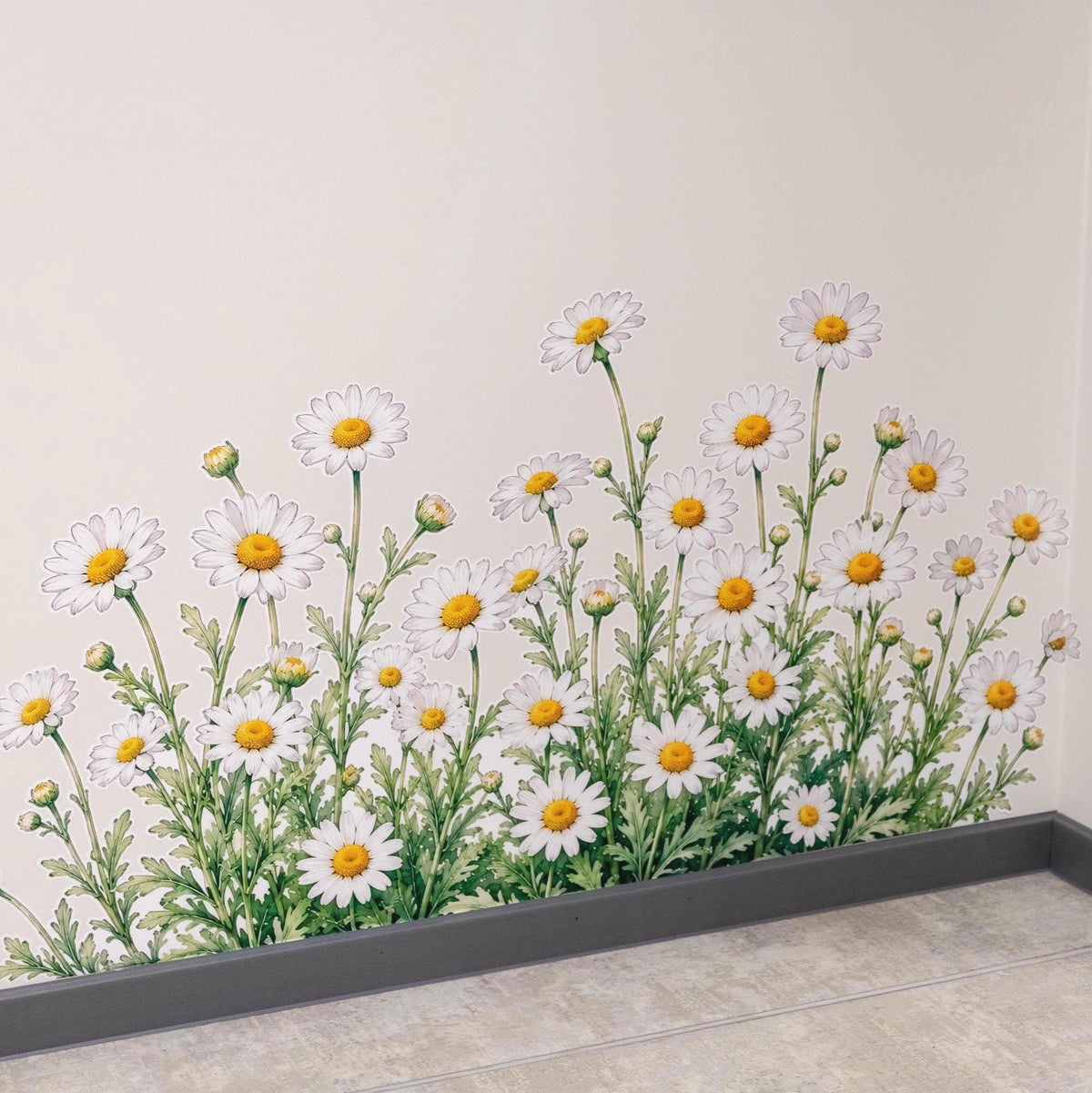 Chamomile Daisies Wall Vinyl Decal displayed in a room setting.