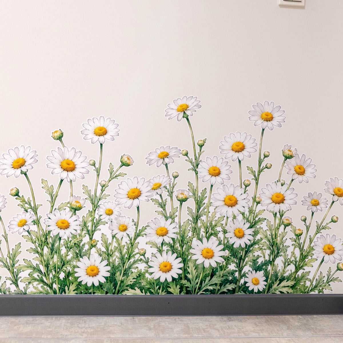 Additional product detail of Chamomile Daisies Wall Vinyl Decal.