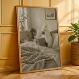 Additional product presentation of White Cockatoo Reading in Bed Poster.