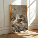 Alternate product presentation of Ragdoll Cat Reading in Bed Poster.