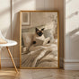Product view of Siamese Cat Reading in Bed Poster.