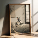 Product presentation view of Harlequin Rabbit Reading in Bed Poster.