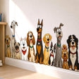 Cartoon group of happy dogs sitting in a row with different breeds and colorful collars.