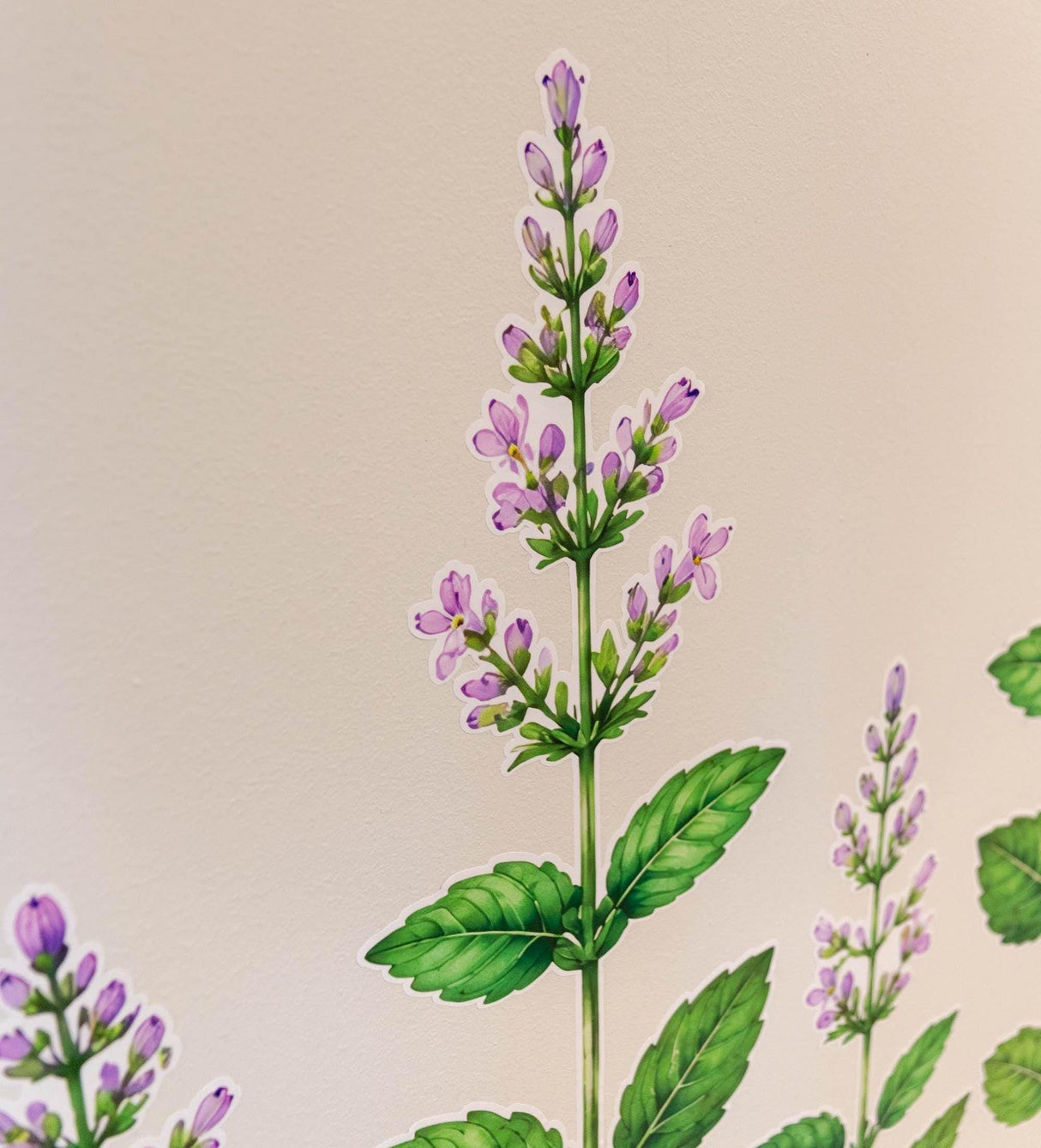 Additional product view of Peppermint Herb Border Wall Vinyl Decal.