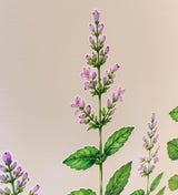 Additional product view of Peppermint Herb Border Wall Vinyl Decal.