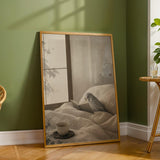 Additional product detail of Silver Budgerigar Reading in Bed Poster.