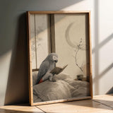 Product presentation view of African Grey Parrot Reading in Bed Poster.