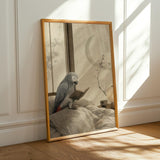Alternate product presentation of African Grey Parrot Reading in Bed Poster.