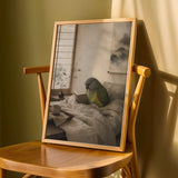 Product detail view of Senegal Parrot Reading in Bed Poster.