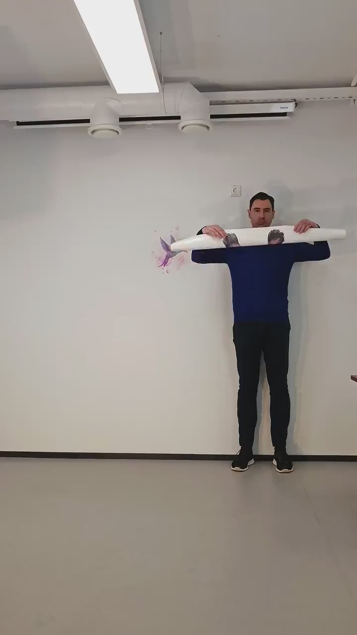 Hummingbird wall decal shown in a product video.
