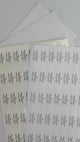 Custom clear mailing labels featuring elegant fonts, ready for personalizing your postage with style.