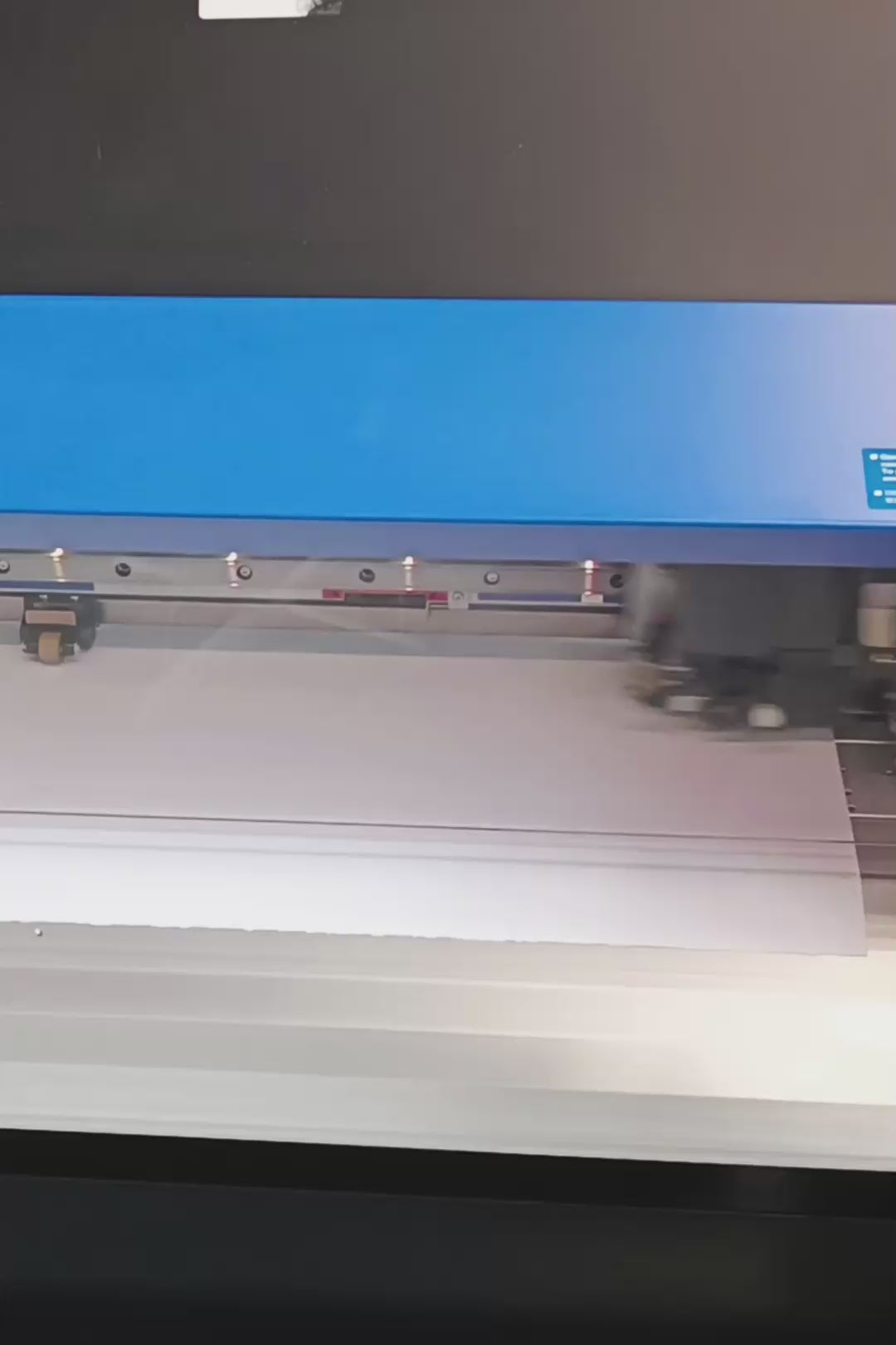 Daisy wall sticker production shown on a digital printer.