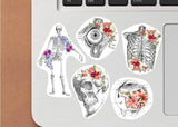 Set of anatomy laptop stickers featuring a skeleton, skull, and floral designs on a laptop keyboard.
