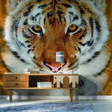 Stylish tiger wall decal in modern living room, adding exotic elegance and wild charm to interior decor.