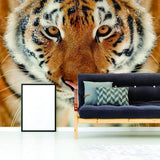 Stunning tiger wall decal showcasing exotic elegance in a modern living room setting.
