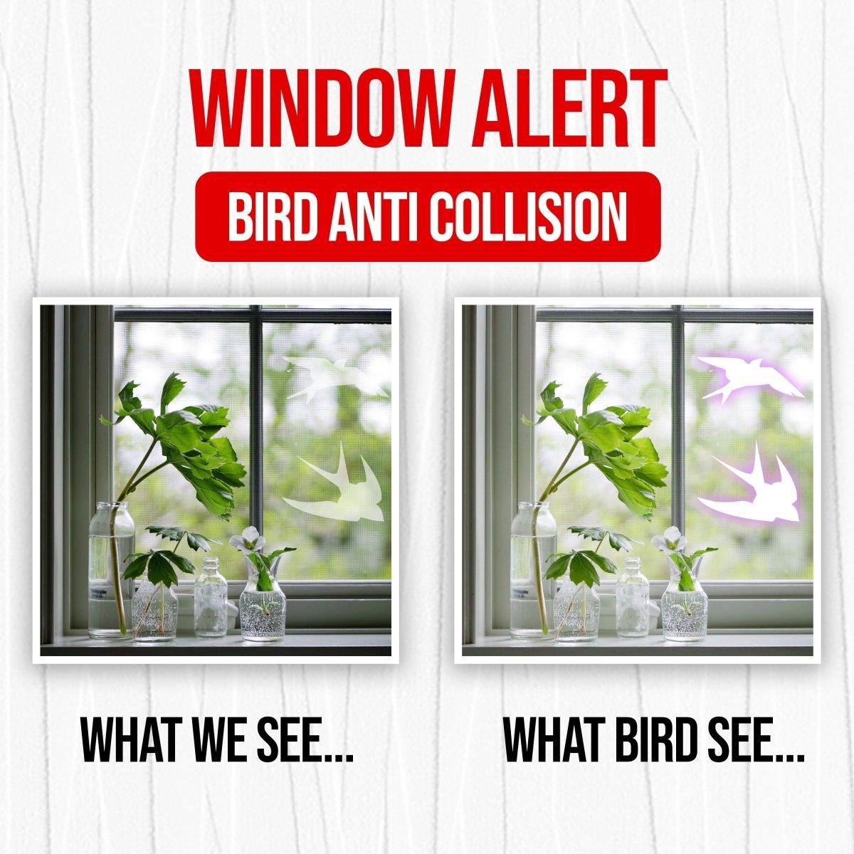Illustration showing bird window decals labeled 'What We See' and 'What Bird See' to prevent bird collisions.