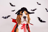 Летучие мыши-наклейки в декорированном интерьере