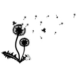 Dandelion vinyl sticker wall decal featuring whimsical flowers and flying seeds.