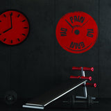 Fitness gym wall decal saying 'No Pain No Gain' in red on a black wall, with gym equipment in the foreground.