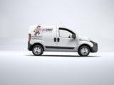 Custom vehicle branding decal displayed on a white van.